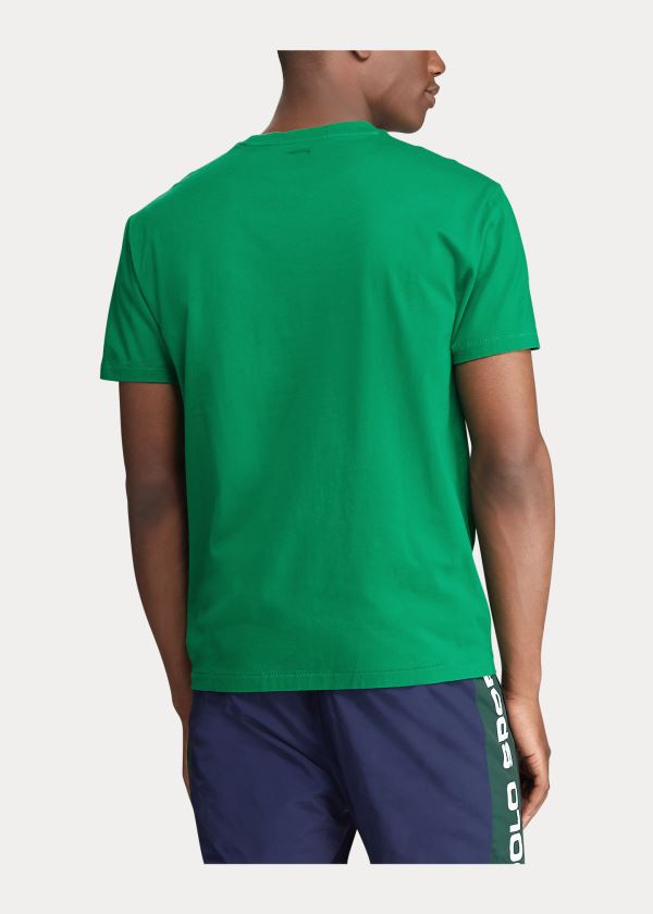 Ralph Lauren Classic Fit Polo Sportovní T-Shirt Zelene | AnU69bVe