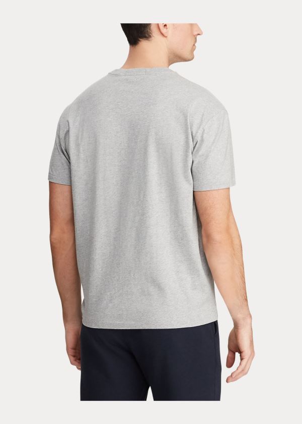 Ralph Lauren Classic Fit Polo Sportovní T-Shirt Šedé | Jj3VJpgI