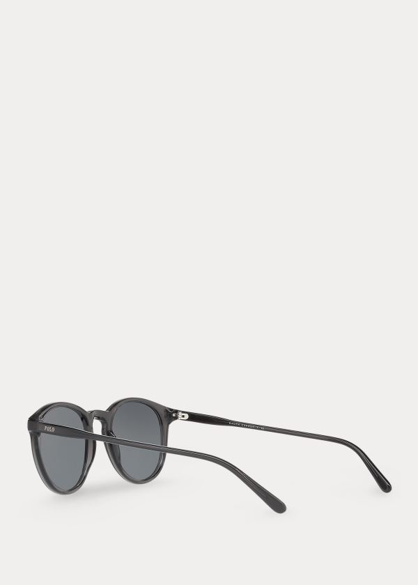 Ralph Lauren Classic Panthos Sunglasses Zelene Zlaté | eydPGRUi