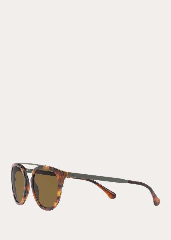 Ralph Lauren Panthos Sunglasses Olivy Zelené Leopard | qTgCtLcw