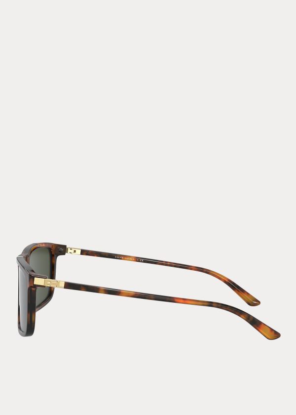 Ralph Lauren RL Hinge Sunglasses Zelene | zW7sUavj