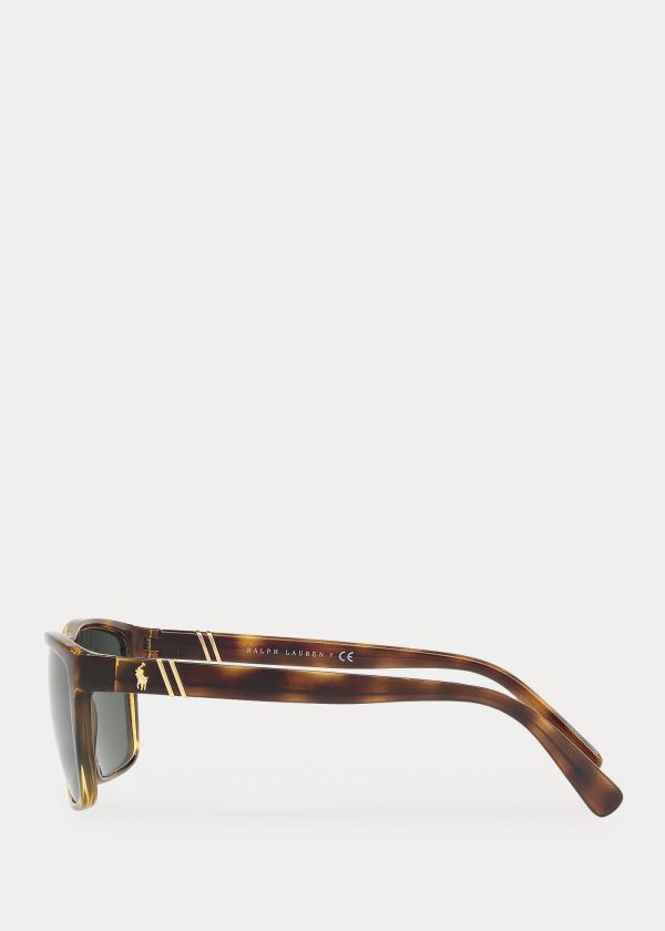 Ralph Lauren Regimental Sunglasses Zelene | YkAaZOyI