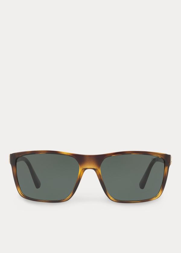 Ralph Lauren Regimental Sunglasses Zelene | YkAaZOyI