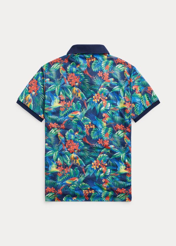 Ralph Lauren The Earth Polo Královská Modrá Blankyt Viacfarebný | VLi0Nhx0