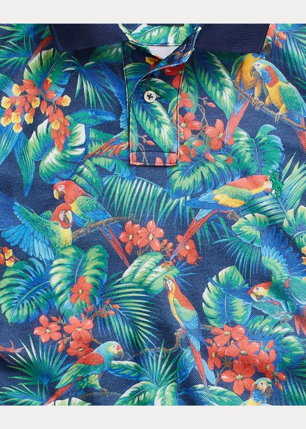Ralph Lauren The Earth Polo Královská Modrá Blankyt Viacfarebný | VLi0Nhx0