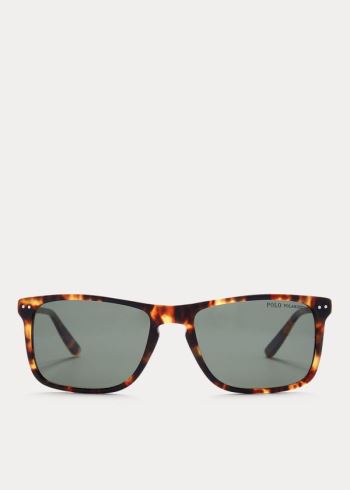 Ralph Lauren Metal Temple Sunglasses Blankyt Leopard | xNOqLxdW